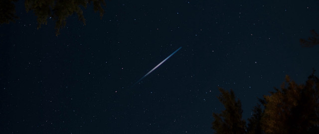 Shooting star night sky trees free wallpaper for desktop - medium preview image