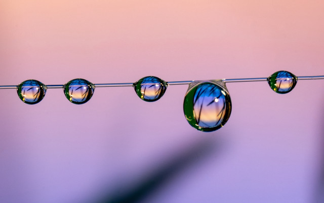 Water droplets wire pink blue free wallpaper for desktop - medium preview image