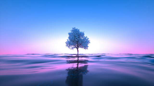 Lone tree reflection sunset horizon free wallpaper for desktop - medium preview image