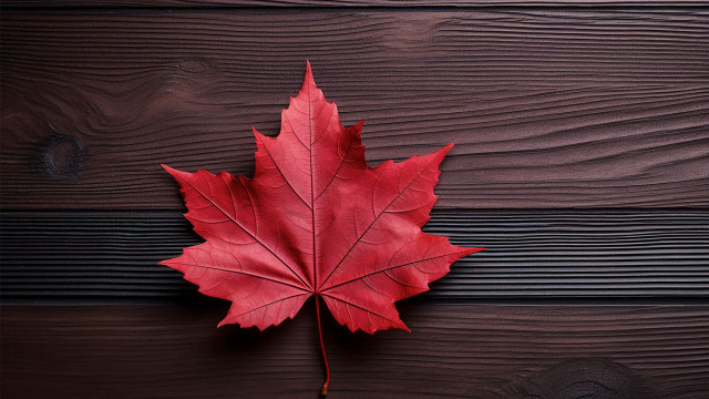 Red maple leaf wooden surface free wallpaper for desktop - medium preview image