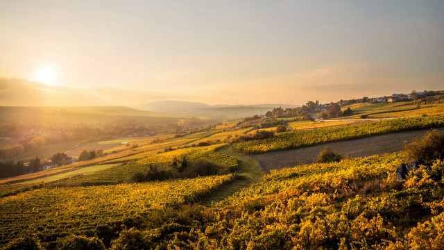 Sunset rural countryside road fields free wallpaper for desktop - medium preview image
