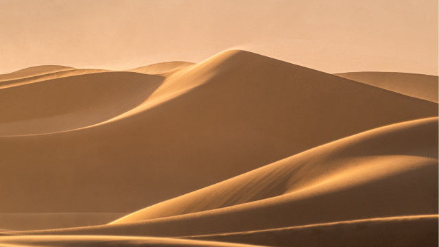 Desert sand dunes bird hazy free wallpaper for desktop - medium preview image