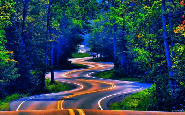 Psychedelic surrealist road trees bushes free wallpaper for desktop - medium preview image