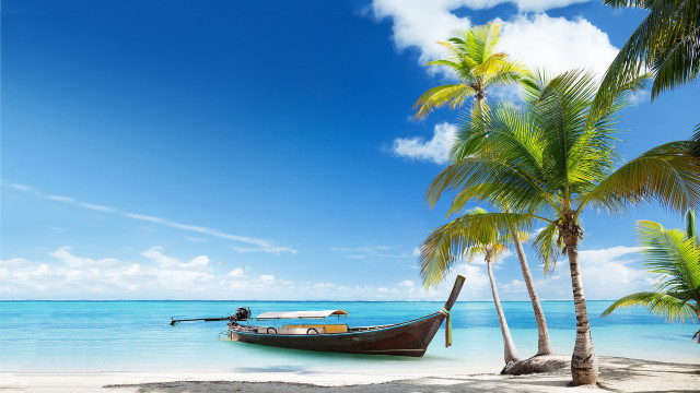 Boat beach palm trees blue free wallpaper for desktop - medium preview image