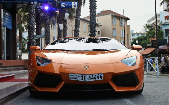 Orange sports car palm trees #4 free wallpaper for desktop - medium preview image