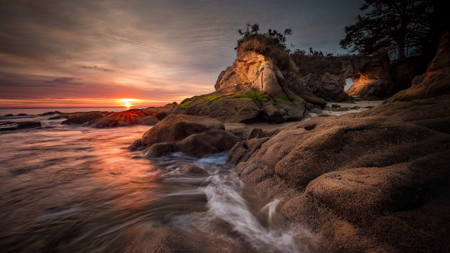 Rocky beach sunset cliff tree free wallpaper for desktop - medium preview image