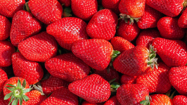 Strawberries closeup food flower red free wallpaper for desktop - medium preview image