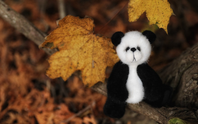 Stuffed panda tree branch bokeh free wallpaper for desktop - medium preview image