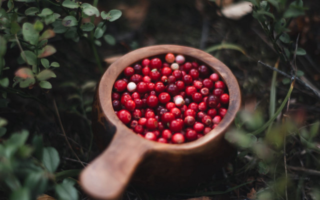 Wooden bowl red berries forest free wallpaper for desktop - medium preview image