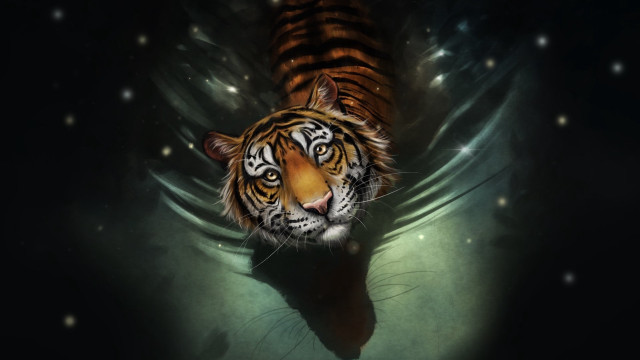 Tiger water starry sky digital free wallpaper for desktop - medium preview image