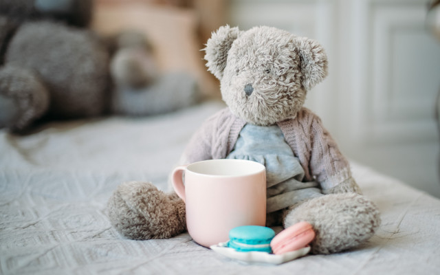 Teddy bear coffee pills soft free wallpaper for desktop - medium preview image