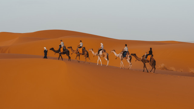 Sahara camel riders morocco matte free wallpaper for desktop - medium preview image
