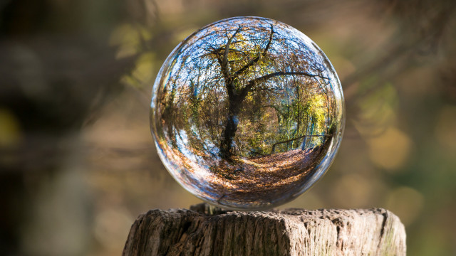 Glassball woods reflection magic realist free wallpaper for desktop - medium preview image