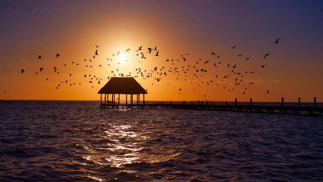 Birds sunset pier gazebo reflection free wallpaper for desktop - medium preview image