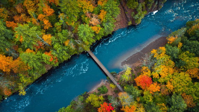 River bridge autumn leaves forest free wallpaper for desktop - medium preview image