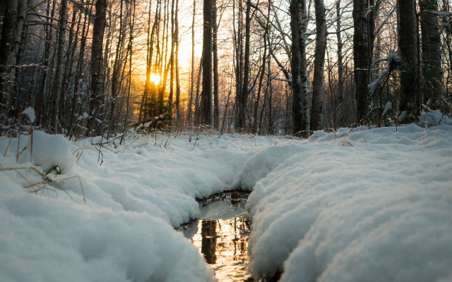 Small stream snowy forest dawn free wallpaper for desktop - medium preview image