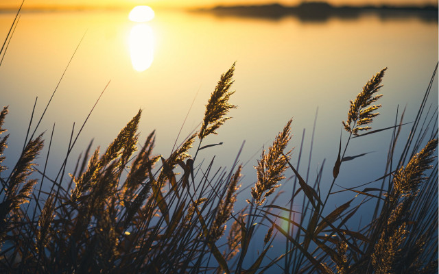 Sunset lake tallgrass tranquil berndfasching free wallpaper for desktop - medium preview image