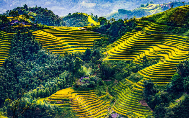 Yellow terraces valley mountains forest free wallpaper for desktop - medium preview image