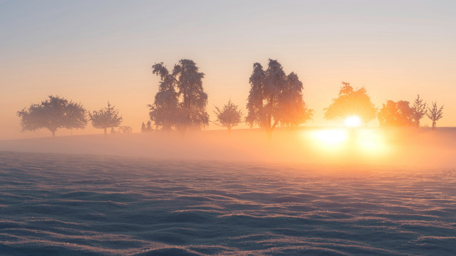 Foggy field trees sunset volumetric #3 free wallpaper for desktop - medium preview image