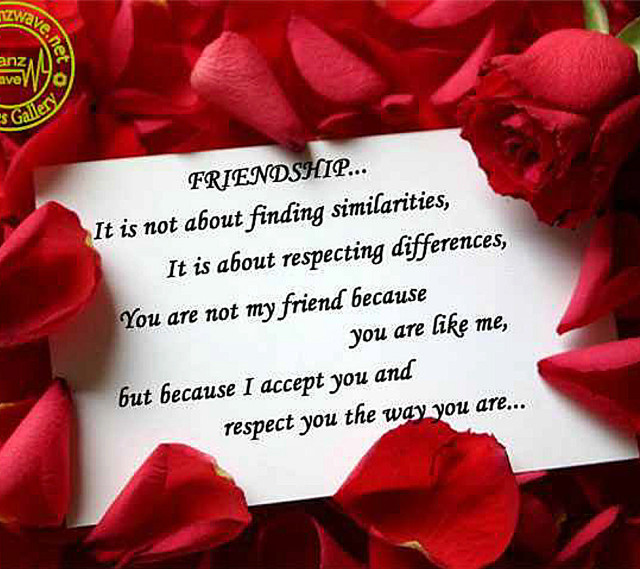 Poem paper red roses gold free wallpaper for tablet - medium preview image