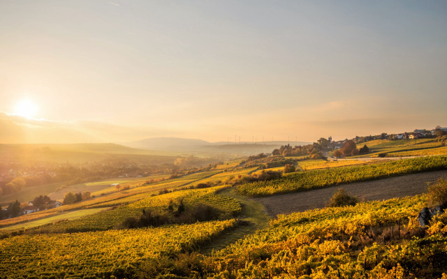 Scenic rural sunset person path free wallpaper for desktop - medium preview image