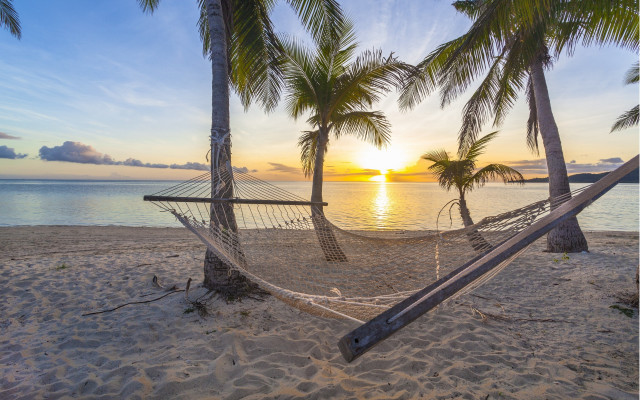 Beach hammock palm trees sunset free wallpaper for desktop - medium preview image