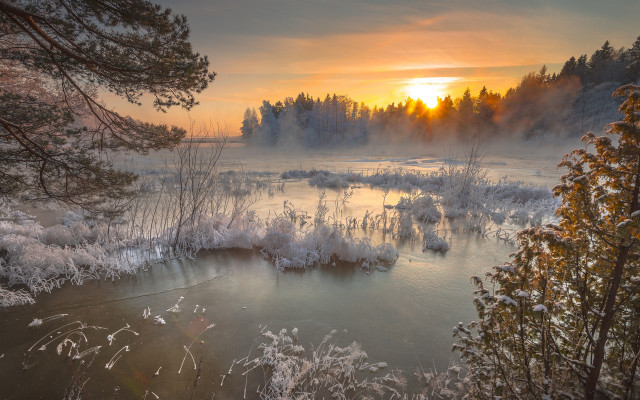 River trees snow sunset fog free wallpaper for desktop - medium preview image