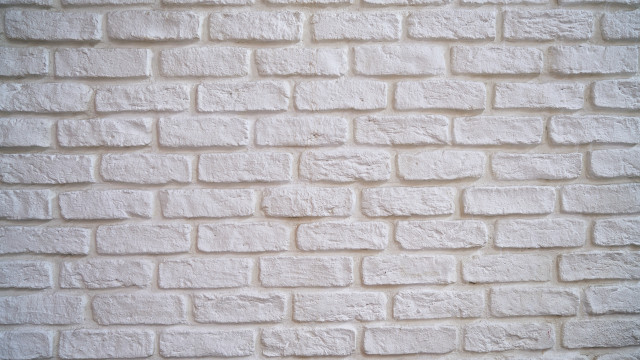 White brick wall black cat #2 free wallpaper for desktop - medium preview image