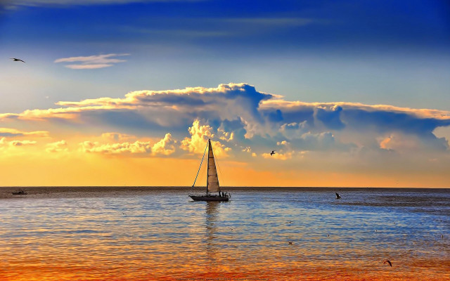 Sailboat sunset ocean bird sky free wallpaper for desktop - medium preview image