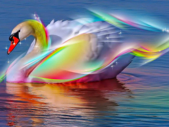 Swan floating water wings glowing free wallpaper for desktop - medium preview image