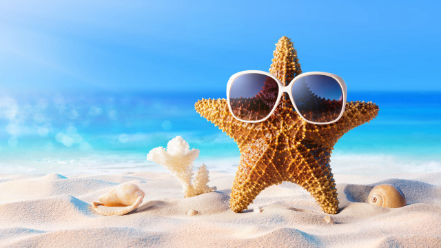 Starfish sunglasses beach shells sand free wallpaper for desktop - medium preview image
