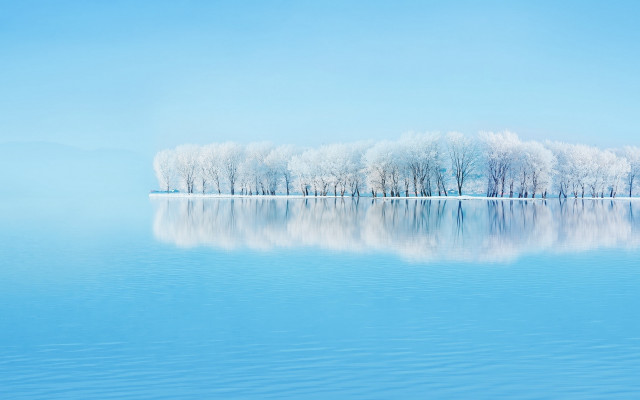 Lake trees blue sky winter free wallpaper for desktop - medium preview image