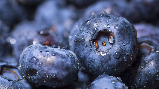 Blueberries water drops macro photography free wallpaper for desktop - medium preview image
