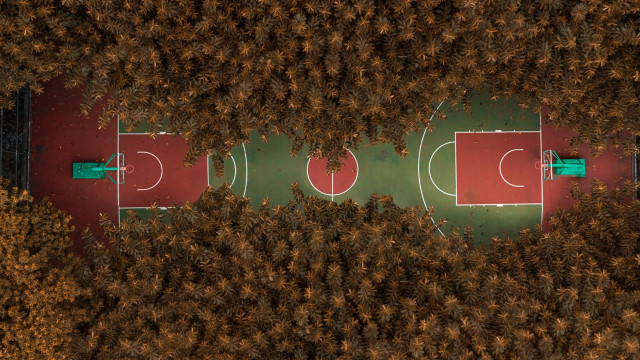 Basketball court trees grass sunset free wallpaper for desktop - medium preview image