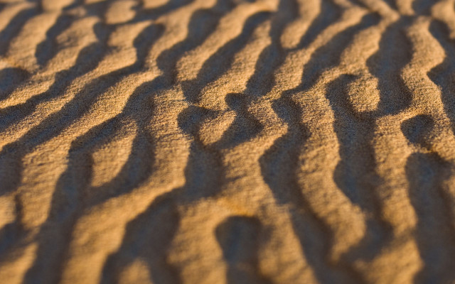 Sand dune closeup macro desert free wallpaper for desktop - medium preview image