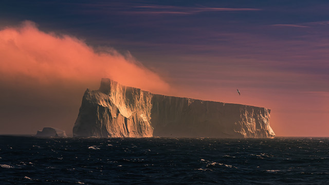 Iceberg bird pink sky ocean free wallpaper for desktop - medium preview image