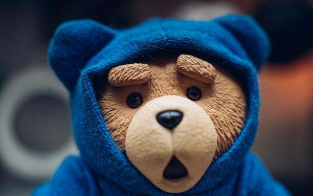 Teddy bear blue hooded costume free wallpaper for desktop - medium preview image