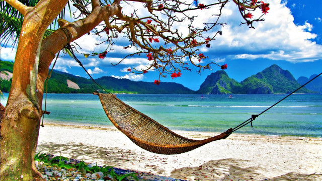Hammock tree beach ocean mountains free wallpaper for desktop - medium preview image