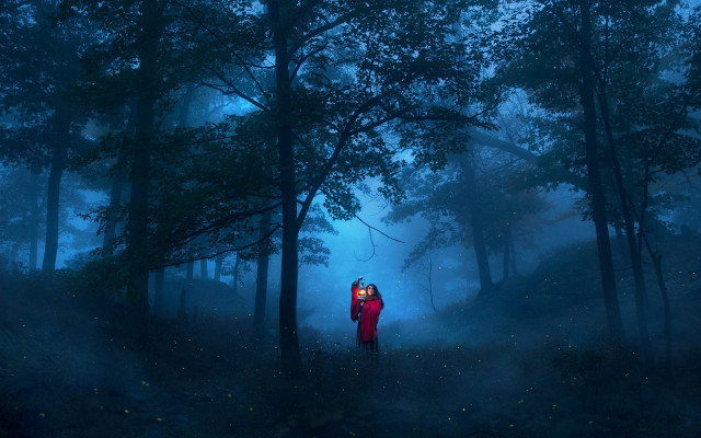 Forest foggy night fireflies magic free wallpaper for desktop - medium preview image