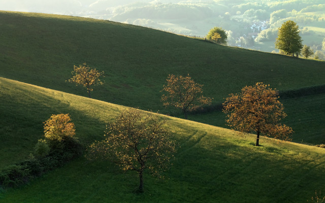 Grassy hill trees background hills free wallpaper for desktop - medium preview image