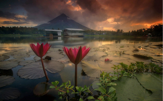 Lake lily pads mountain cloudy free wallpaper for desktop - medium preview image