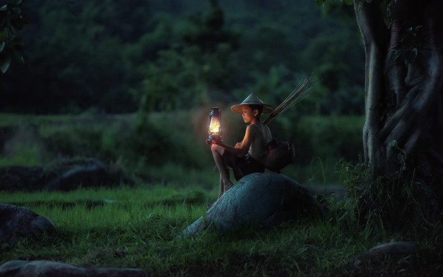 Person sitting forest lantern night free wallpaper for desktop - medium preview image