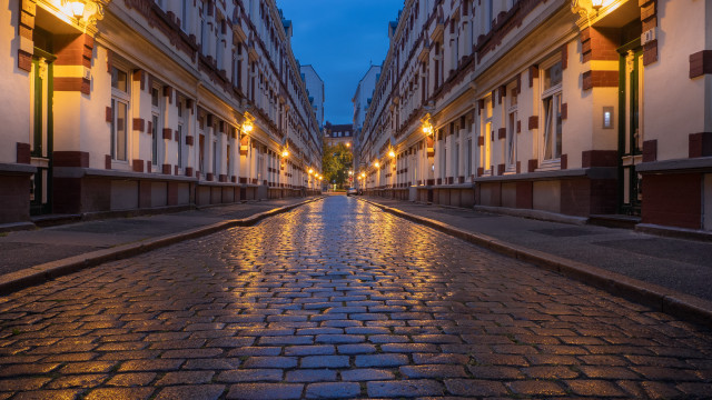 Wet street berlin secession autumn free wallpaper for desktop - medium preview image