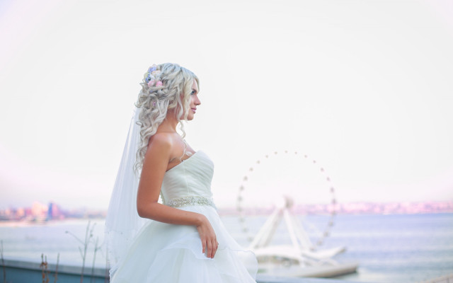 Wedding dress water ferris wheel free wallpaper for desktop - medium preview image