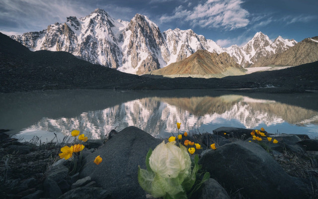 Mountain lake flowers clouds snow free wallpaper for desktop - medium preview image
