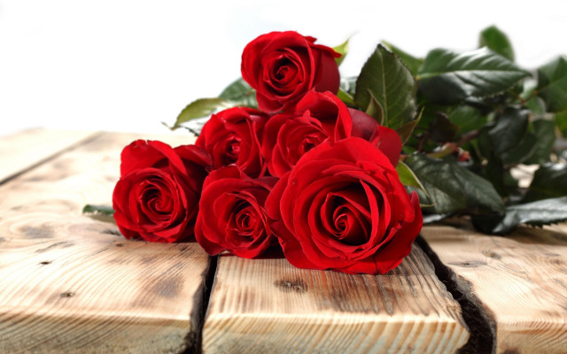 Red roses wooden table flower free wallpaper for desktop - medium preview image