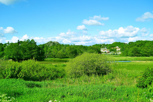 Field house trees blue sky free wallpaper for desktop - medium preview image