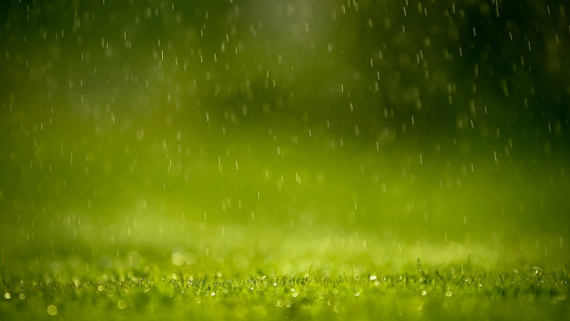 Green field rain falling grass free wallpaper for desktop - medium preview image