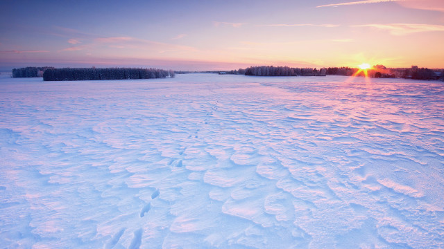 Snowy field sunset trees mountains free wallpaper for desktop - medium preview image