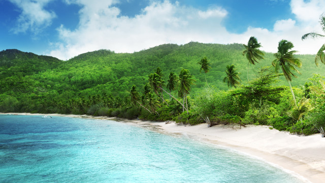 Beach trees water mountain sky free wallpaper for desktop - medium preview image